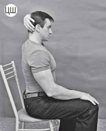 Иллюстрация к книге — Система &quot;Живая осанка&quot;. Уникальный курс постановки осанки за 30 дней [Autogen_eBook_id128.jpg]