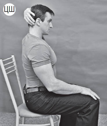 Иллюстрация к книге — Система &quot;Живая осанка&quot;. Уникальный курс постановки осанки за 30 дней [Autogen_eBook_id135.jpg]