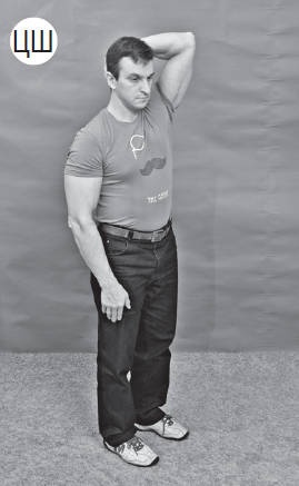 Иллюстрация к книге — Система &quot;Живая осанка&quot;. Уникальный курс постановки осанки за 30 дней [Autogen_eBook_id153.jpg]