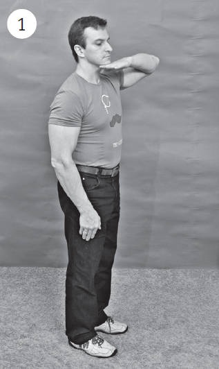 Иллюстрация к книге — Система &quot;Живая осанка&quot;. Уникальный курс постановки осанки за 30 дней [Autogen_eBook_id154.jpg]