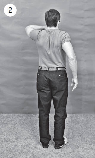 Иллюстрация к книге — Система &quot;Живая осанка&quot;. Уникальный курс постановки осанки за 30 дней [Autogen_eBook_id155.jpg]