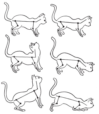 Иллюстрация к книге — Система &quot;Живая осанка&quot;. Уникальный курс постановки осанки за 30 дней [Autogen_eBook_id17.jpg]