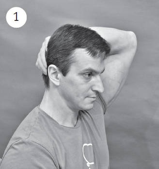 Иллюстрация к книге — Система &quot;Живая осанка&quot;. Уникальный курс постановки осанки за 30 дней [Autogen_eBook_id172.jpg]