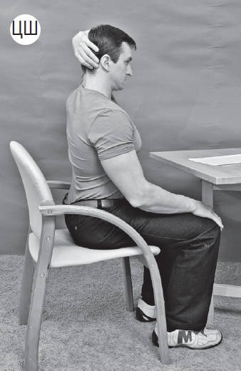 Иллюстрация к книге — Система &quot;Живая осанка&quot;. Уникальный курс постановки осанки за 30 дней [Autogen_eBook_id177.jpg]