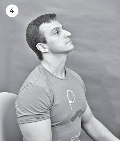 Иллюстрация к книге — Система &quot;Живая осанка&quot;. Уникальный курс постановки осанки за 30 дней [Autogen_eBook_id181.jpg]