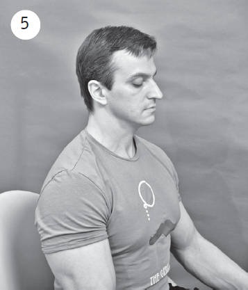 Иллюстрация к книге — Система &quot;Живая осанка&quot;. Уникальный курс постановки осанки за 30 дней [Autogen_eBook_id182.jpg]