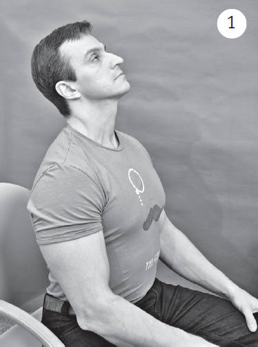 Иллюстрация к книге — Система &quot;Живая осанка&quot;. Уникальный курс постановки осанки за 30 дней [Autogen_eBook_id186.jpg]