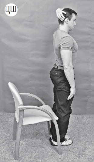 Иллюстрация к книге — Система &quot;Живая осанка&quot;. Уникальный курс постановки осанки за 30 дней [Autogen_eBook_id192.jpg]