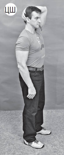 Иллюстрация к книге — Система &quot;Живая осанка&quot;. Уникальный курс постановки осанки за 30 дней [Autogen_eBook_id195.jpg]