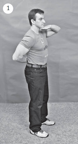 Иллюстрация к книге — Система &quot;Живая осанка&quot;. Уникальный курс постановки осанки за 30 дней [Autogen_eBook_id196.jpg]