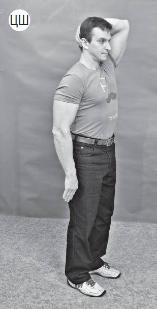 Иллюстрация к книге — Система &quot;Живая осанка&quot;. Уникальный курс постановки осанки за 30 дней [Autogen_eBook_id199.jpg]