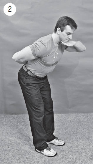 Иллюстрация к книге — Система &quot;Живая осанка&quot;. Уникальный курс постановки осанки за 30 дней [Autogen_eBook_id201.jpg]