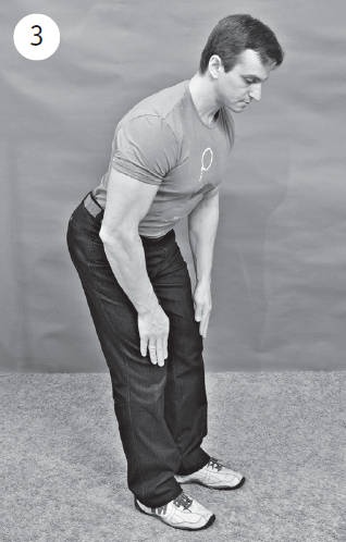 Иллюстрация к книге — Система &quot;Живая осанка&quot;. Уникальный курс постановки осанки за 30 дней [Autogen_eBook_id202.jpg]