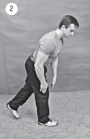 Иллюстрация к книге — Система &quot;Живая осанка&quot;. Уникальный курс постановки осанки за 30 дней [Autogen_eBook_id204.jpg]