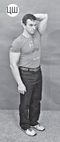 Иллюстрация к книге — Система &quot;Живая осанка&quot;. Уникальный курс постановки осанки за 30 дней [Autogen_eBook_id208.jpg]