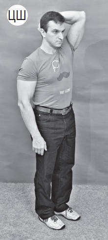 Иллюстрация к книге — Система &quot;Живая осанка&quot;. Уникальный курс постановки осанки за 30 дней [Autogen_eBook_id212.jpg]