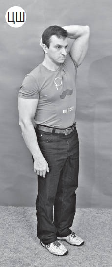 Иллюстрация к книге — Система &quot;Живая осанка&quot;. Уникальный курс постановки осанки за 30 дней [Autogen_eBook_id217.jpg]