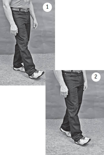 Иллюстрация к книге — Система &quot;Живая осанка&quot;. Уникальный курс постановки осанки за 30 дней [Autogen_eBook_id218.jpg]