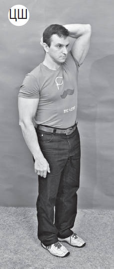 Иллюстрация к книге — Система &quot;Живая осанка&quot;. Уникальный курс постановки осанки за 30 дней [Autogen_eBook_id219.jpg]