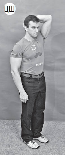 Иллюстрация к книге — Система &quot;Живая осанка&quot;. Уникальный курс постановки осанки за 30 дней [Autogen_eBook_id222.jpg]