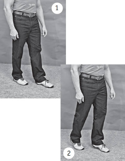 Иллюстрация к книге — Система &quot;Живая осанка&quot;. Уникальный курс постановки осанки за 30 дней [Autogen_eBook_id223.jpg]