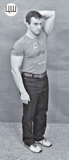 Иллюстрация к книге — Система &quot;Живая осанка&quot;. Уникальный курс постановки осанки за 30 дней [Autogen_eBook_id227.jpg]