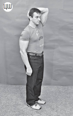 Иллюстрация к книге — Система &quot;Живая осанка&quot;. Уникальный курс постановки осанки за 30 дней [Autogen_eBook_id229.jpg]