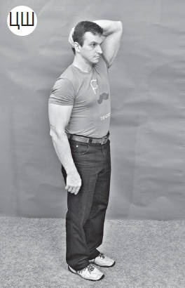 Иллюстрация к книге — Система &quot;Живая осанка&quot;. Уникальный курс постановки осанки за 30 дней [Autogen_eBook_id231.jpg]