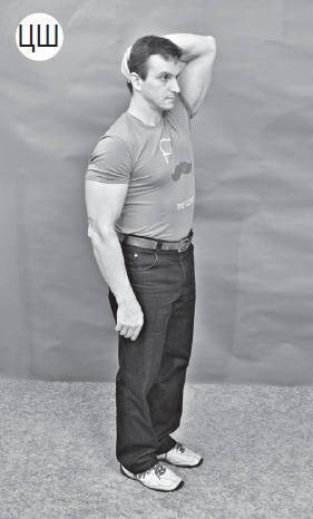 Иллюстрация к книге — Система &quot;Живая осанка&quot;. Уникальный курс постановки осанки за 30 дней [Autogen_eBook_id234.jpg]