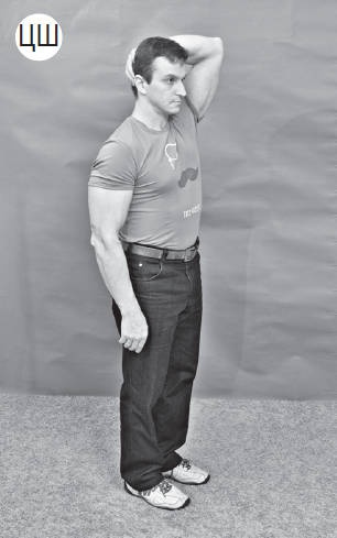 Иллюстрация к книге — Система &quot;Живая осанка&quot;. Уникальный курс постановки осанки за 30 дней [Autogen_eBook_id239.jpg]