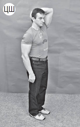 Иллюстрация к книге — Система &quot;Живая осанка&quot;. Уникальный курс постановки осанки за 30 дней [Autogen_eBook_id241.jpg]