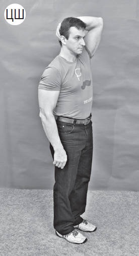 Иллюстрация к книге — Система &quot;Живая осанка&quot;. Уникальный курс постановки осанки за 30 дней [Autogen_eBook_id243.jpg]