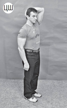 Иллюстрация к книге — Система &quot;Живая осанка&quot;. Уникальный курс постановки осанки за 30 дней [Autogen_eBook_id247.jpg]