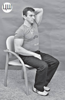 Иллюстрация к книге — Система &quot;Живая осанка&quot;. Уникальный курс постановки осанки за 30 дней [Autogen_eBook_id250.jpg]