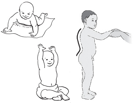 Иллюстрация к книге — Система &quot;Живая осанка&quot;. Уникальный курс постановки осанки за 30 дней [Autogen_eBook_id26.jpg]