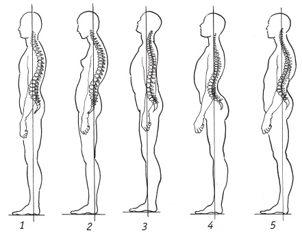 Иллюстрация к книге — Система &quot;Живая осанка&quot;. Уникальный курс постановки осанки за 30 дней [Autogen_eBook_id29.jpg]