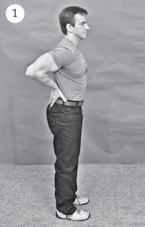 Иллюстрация к книге — Система &quot;Живая осанка&quot;. Уникальный курс постановки осанки за 30 дней [Autogen_eBook_id311.jpg]