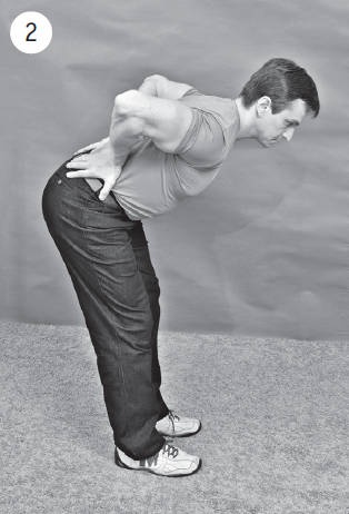 Иллюстрация к книге — Система &quot;Живая осанка&quot;. Уникальный курс постановки осанки за 30 дней [Autogen_eBook_id312.jpg]