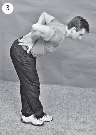 Иллюстрация к книге — Система &quot;Живая осанка&quot;. Уникальный курс постановки осанки за 30 дней [Autogen_eBook_id313.jpg]