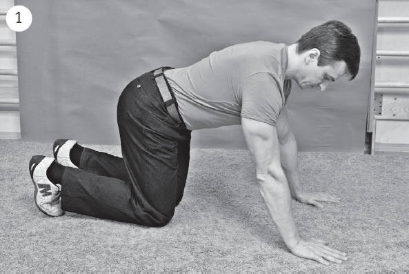 Иллюстрация к книге — Система &quot;Живая осанка&quot;. Уникальный курс постановки осанки за 30 дней [Autogen_eBook_id314.jpg]