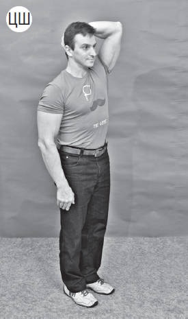 Иллюстрация к книге — Система &quot;Живая осанка&quot;. Уникальный курс постановки осанки за 30 дней [Autogen_eBook_id323.jpg]