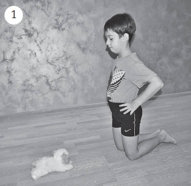 Иллюстрация к книге — Система &quot;Живая осанка&quot;. Уникальный курс постановки осанки за 30 дней [Autogen_eBook_id325.jpg]