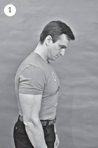 Иллюстрация к книге — Система &quot;Живая осанка&quot;. Уникальный курс постановки осанки за 30 дней [Autogen_eBook_id33.jpg]