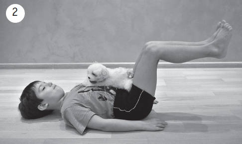 Иллюстрация к книге — Система &quot;Живая осанка&quot;. Уникальный курс постановки осанки за 30 дней [Autogen_eBook_id330.jpg]