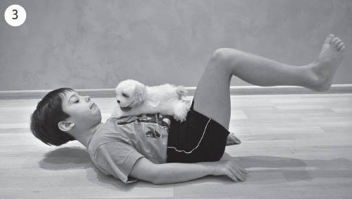 Иллюстрация к книге — Система &quot;Живая осанка&quot;. Уникальный курс постановки осанки за 30 дней [Autogen_eBook_id331.jpg]