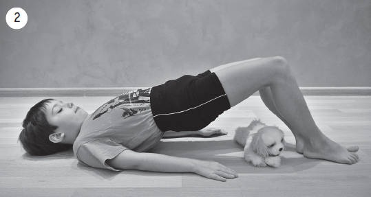 Иллюстрация к книге — Система &quot;Живая осанка&quot;. Уникальный курс постановки осанки за 30 дней [Autogen_eBook_id334.jpg]