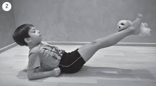 Иллюстрация к книге — Система &quot;Живая осанка&quot;. Уникальный курс постановки осанки за 30 дней [Autogen_eBook_id339.jpg]