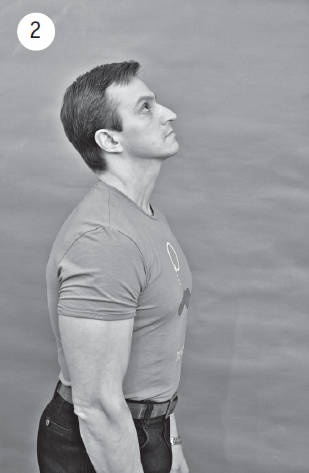 Иллюстрация к книге — Система &quot;Живая осанка&quot;. Уникальный курс постановки осанки за 30 дней [Autogen_eBook_id34.jpg]