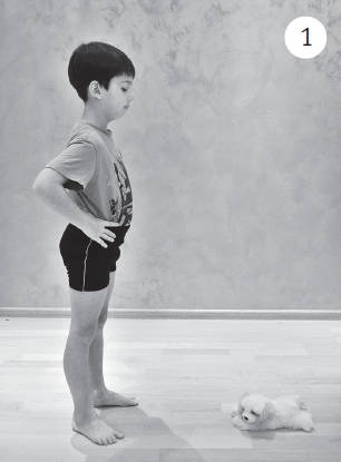 Иллюстрация к книге — Система &quot;Живая осанка&quot;. Уникальный курс постановки осанки за 30 дней [Autogen_eBook_id340.jpg]