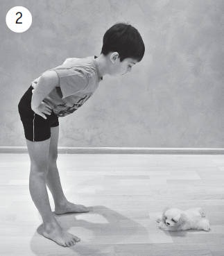 Иллюстрация к книге — Система &quot;Живая осанка&quot;. Уникальный курс постановки осанки за 30 дней [Autogen_eBook_id341.jpg]